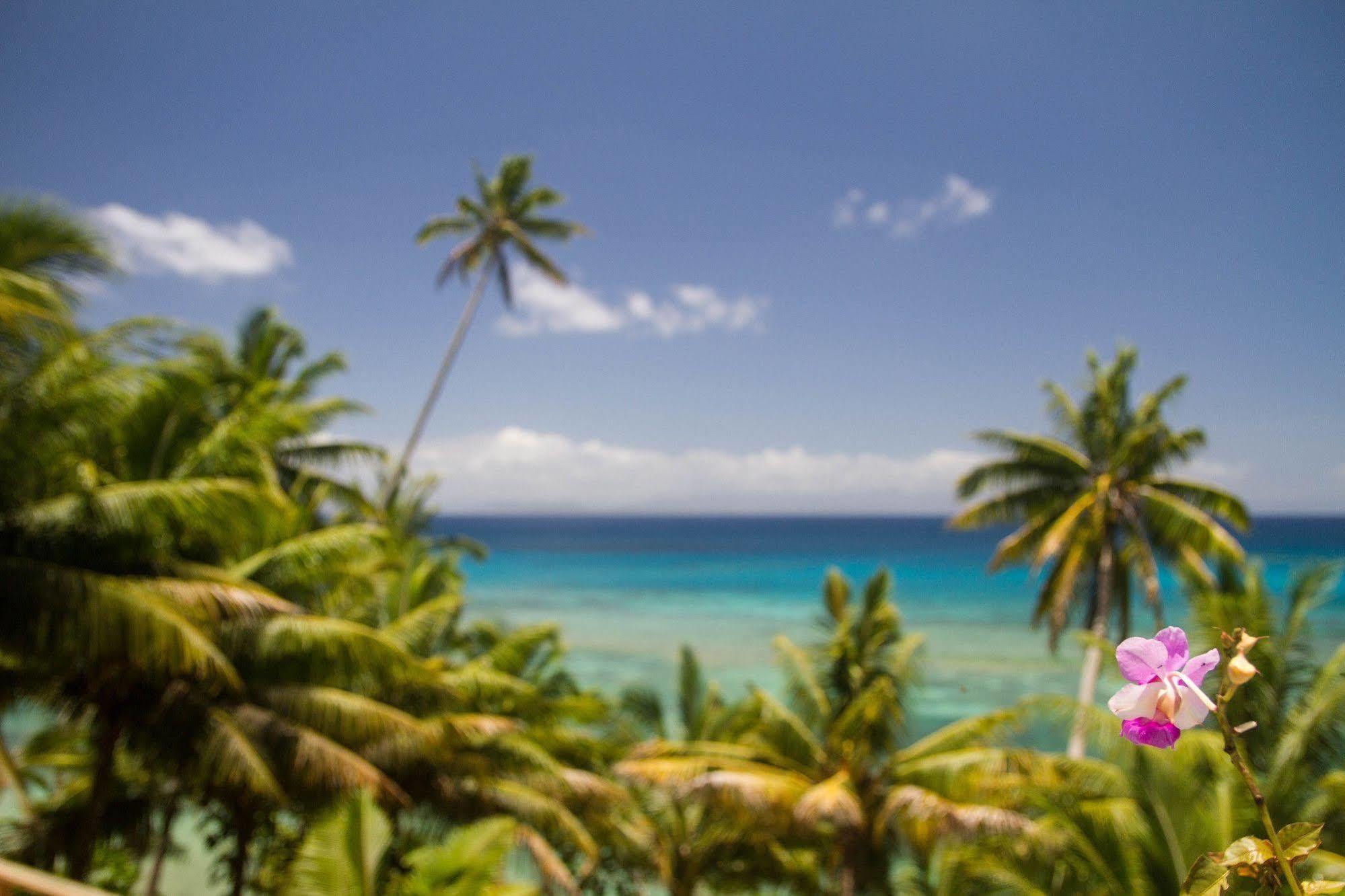 Taveuni Palms Resort Matei Exterior foto